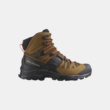 Picture of SALOMON - QUEST 4 GTX